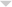 Grey Pointer